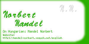 norbert mandel business card